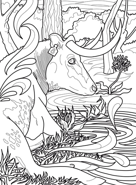 coloring-page-of-longhorn-in-Johnson-City-by-local-Austin-Artist-Becca-Borrelli
