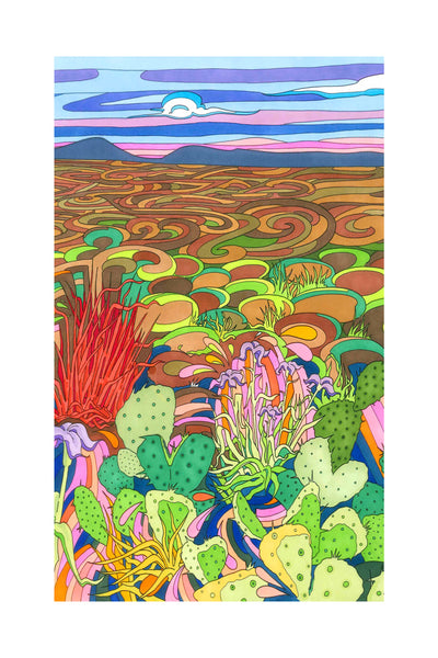 Hillcountry-Texas-cacti-illustration-by-local-Austin-TX-artist-Becca-Borrelli